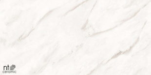 Керамогранит NT Ceramic Marmo Empire Pearl Endless Glossy арт. NTT99525P (60x120) полированная
